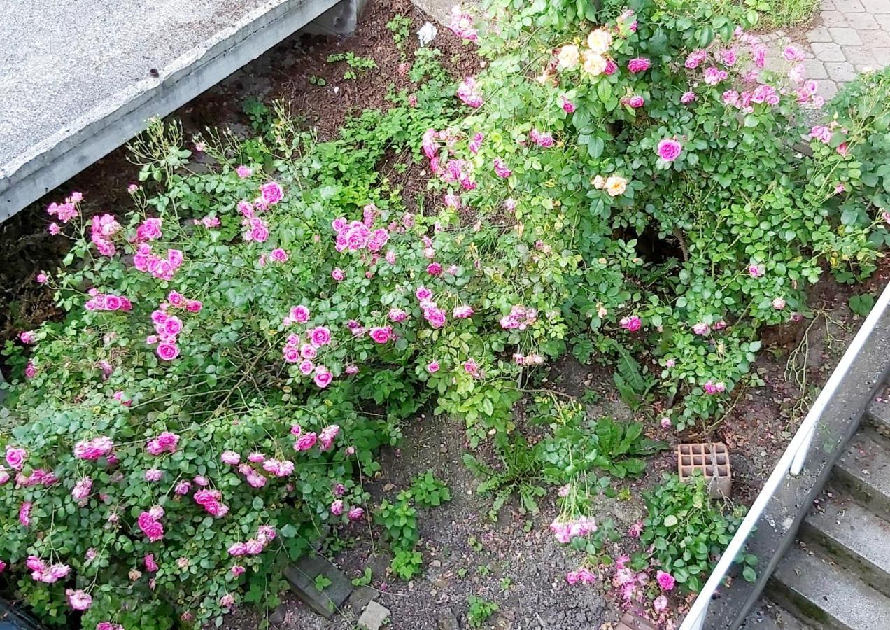 Mija Apartamento Saraievo Exterior foto